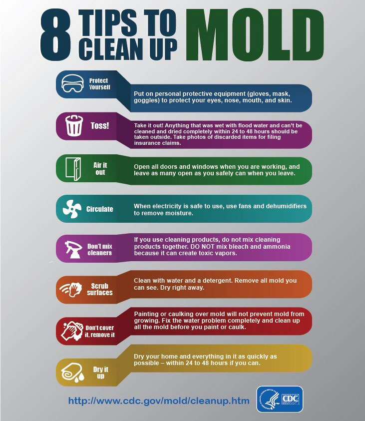 Mold-Cleanup