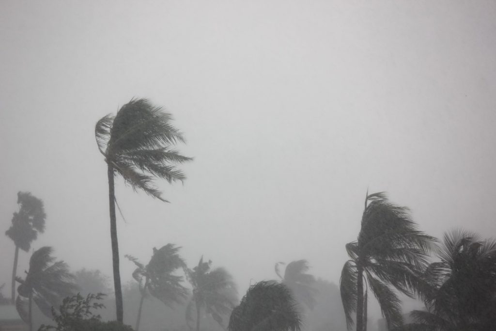 Contact Your Insurance Carrier To Determine Hurricane Damage Coverage Amounts And Fine Print.