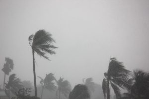 Contact Your Insurance Carrier To Determine Hurricane Damage Coverage Amounts And Fine Print - Restoration 1