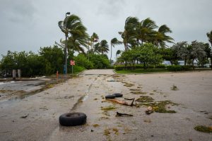 Take Steps To Prepare Your Home For Hurricane Season This Summer!