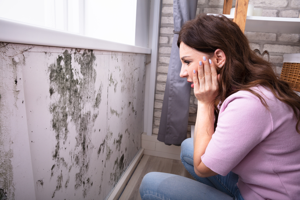 Short And Long-Term Effects Of Black Mold On Children And Pets