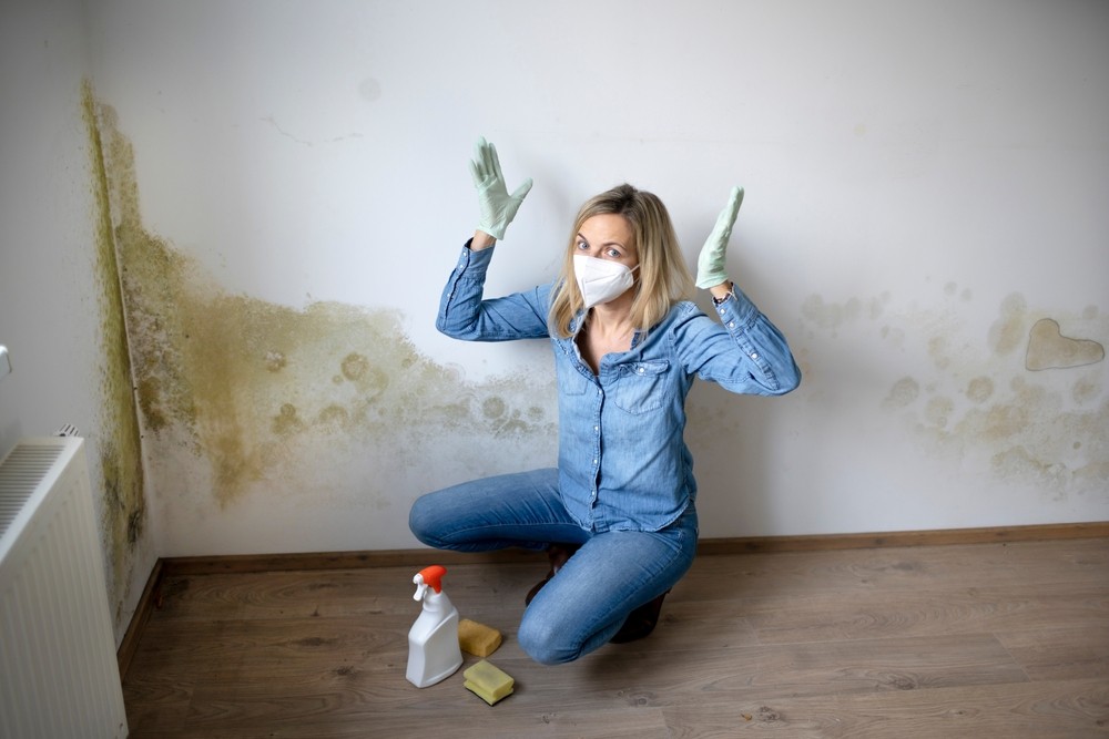 5 Steps To Preventing Mold In Your Property After A Water Damage Disaster