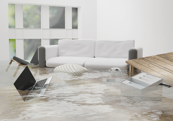 Tips To Prevent Water Damage This Holiday Season