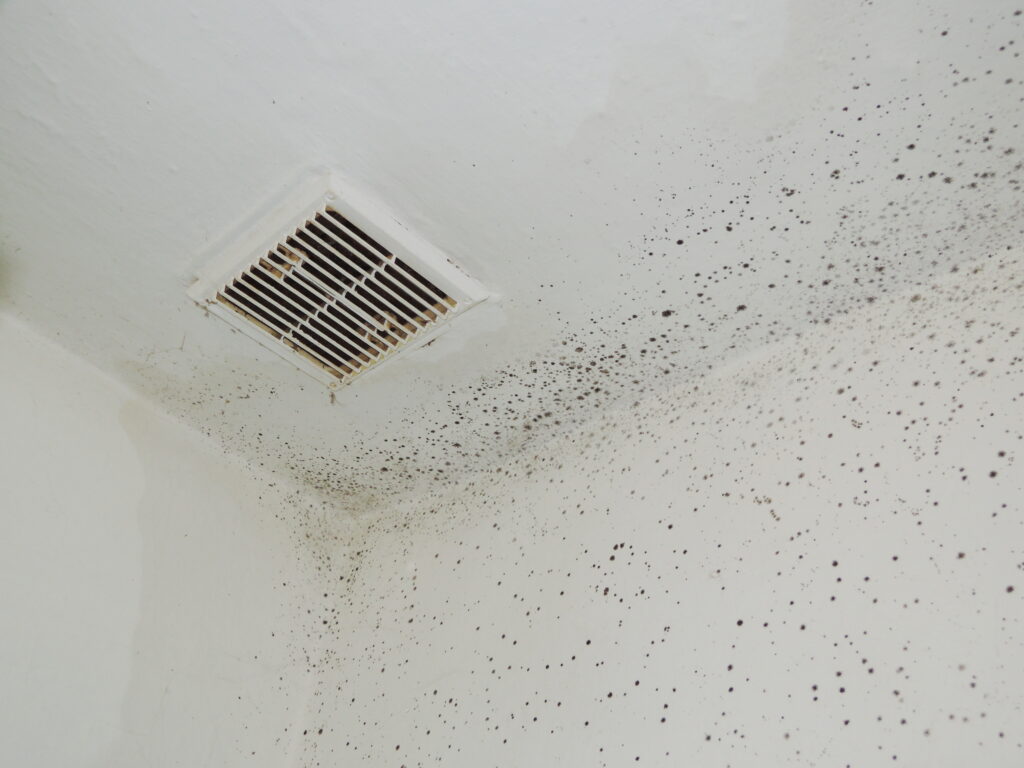Mold In Vents