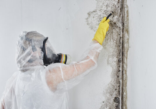What To Expect From Commercial Mold Remediation in San Antonio North