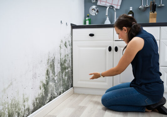 What to Do If You Find Mold on Your Walls