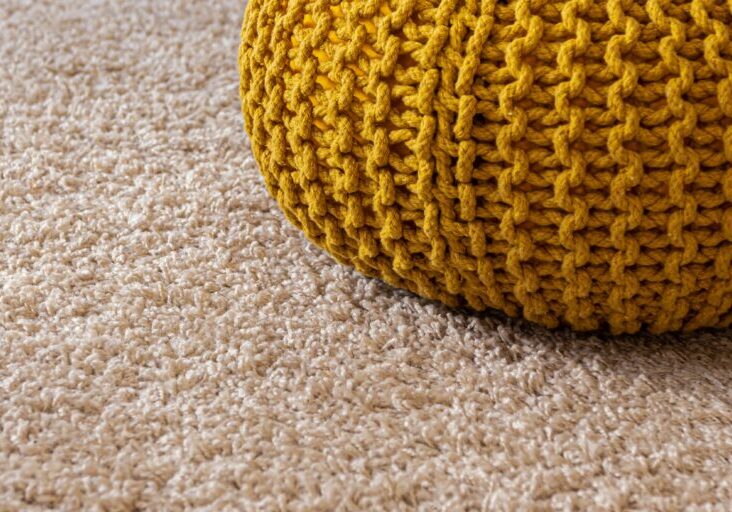 5 Reasons Why You Need Professional Post Flood Carpet Cleaning in Cape Cod