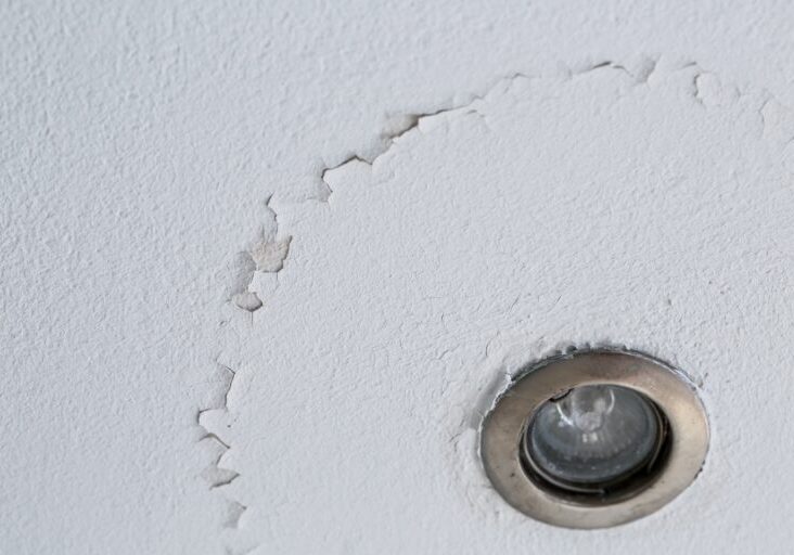 Preventing Mold After Ceiling Water Damage: Tips and Techniques