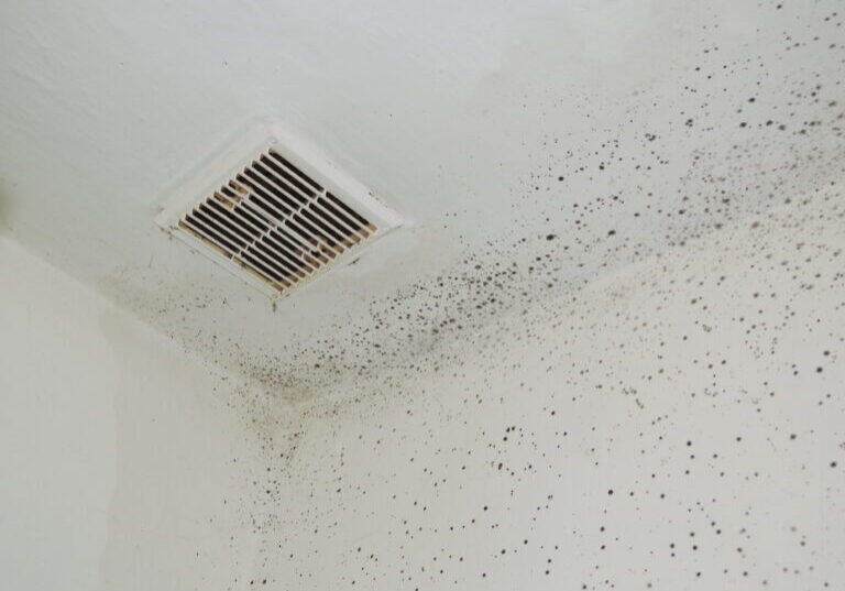 mold in vents
